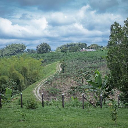 Finca Hotel Heron Quimbaya Kültér fotó
