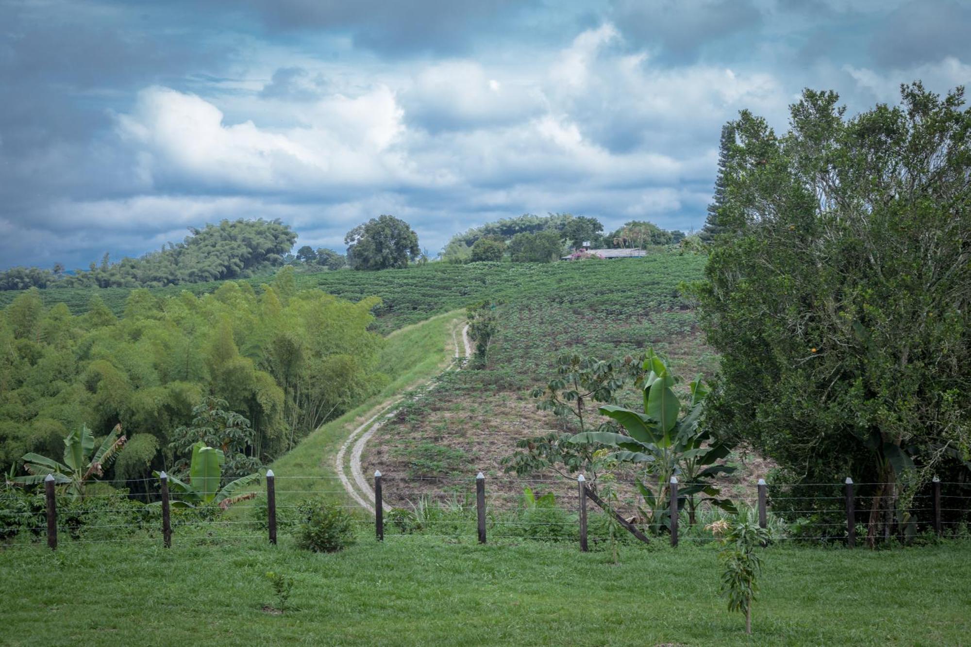 Finca Hotel Heron Quimbaya Kültér fotó